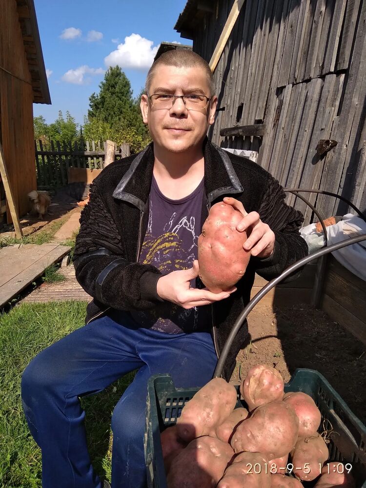  ,   , 55 ,   c 
