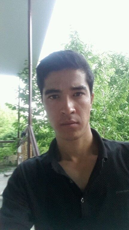 ���� 6333361 ������� Doni, 36 ���, ���� ���������� � �������