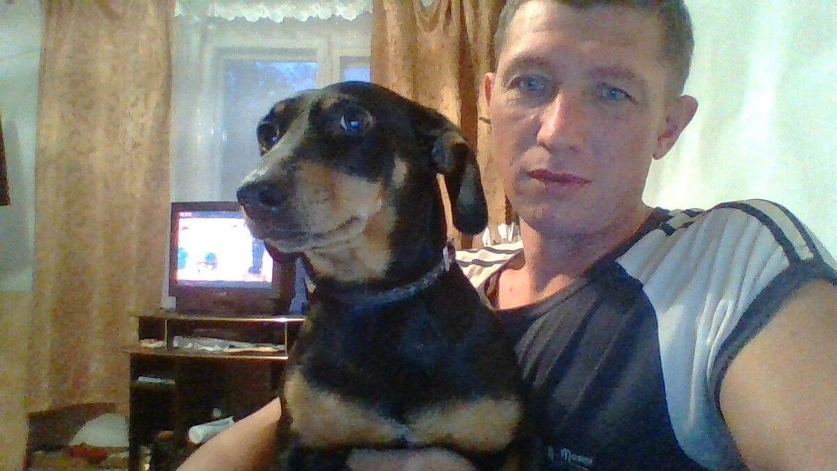 ���� 9387551 ������� �������, 49 ���, ���� ���������� � �������������