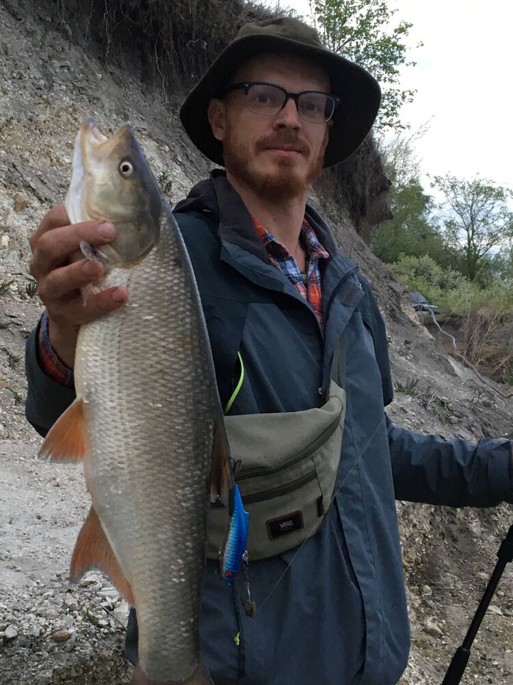 ���������� ��������, ���� ������� �����, 37 ���, ������������ ��� ����� � ���������, c�������� ���������