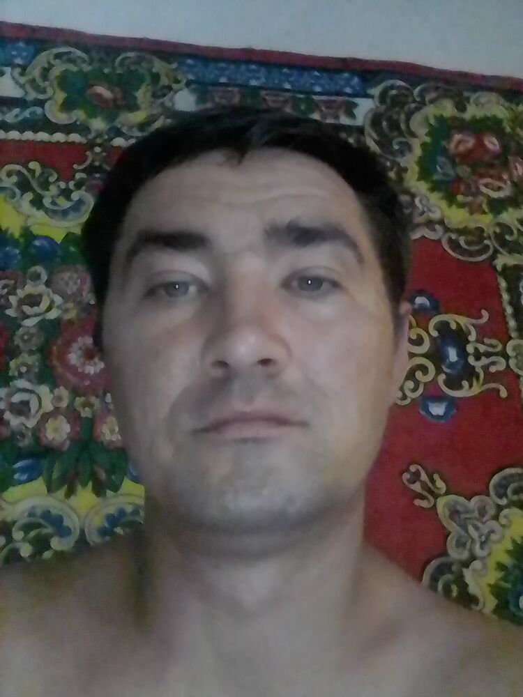  23317251  , 37 ,    