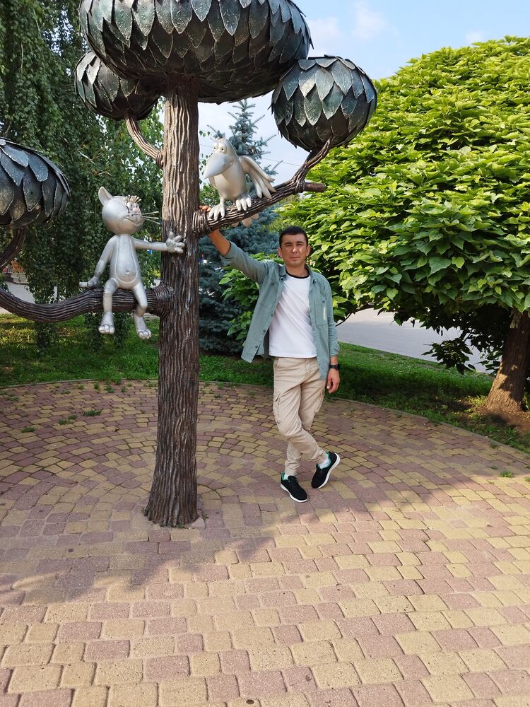  ,   , 33 ,   ,   