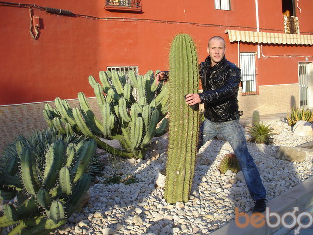  ,   Vladimer, 41 ,     , c 
