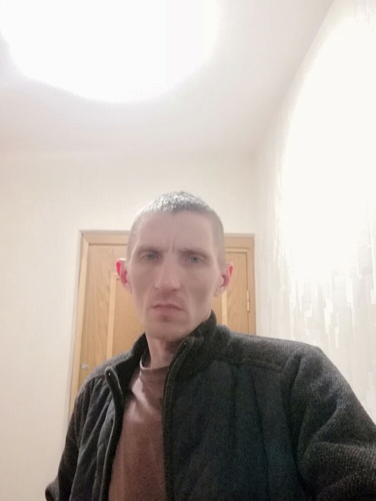  54246431  , 42 ,    -