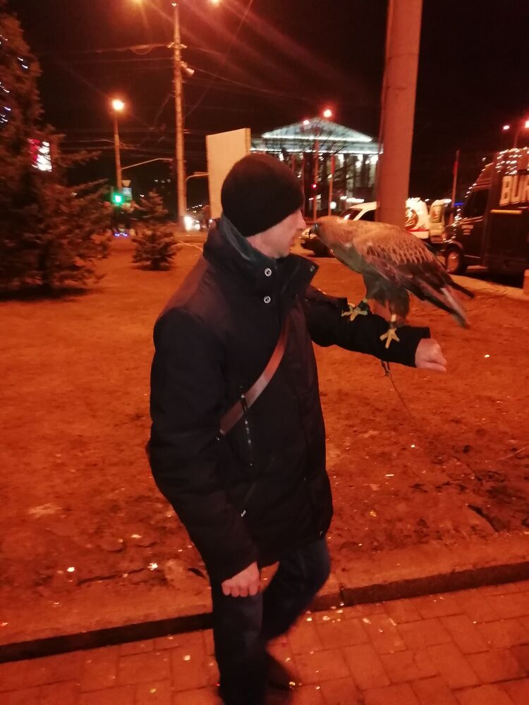  25906511  , 53 ,    