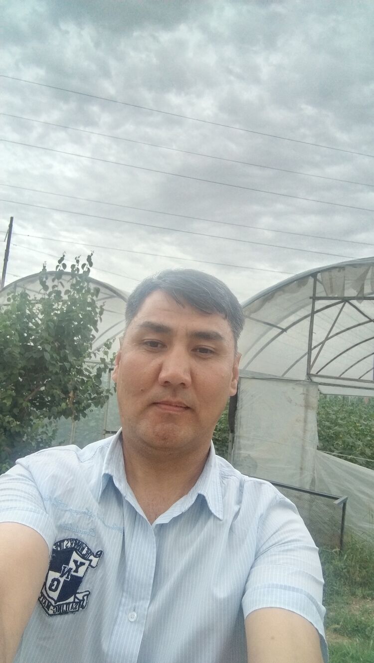  42250491  , 46 ,    -