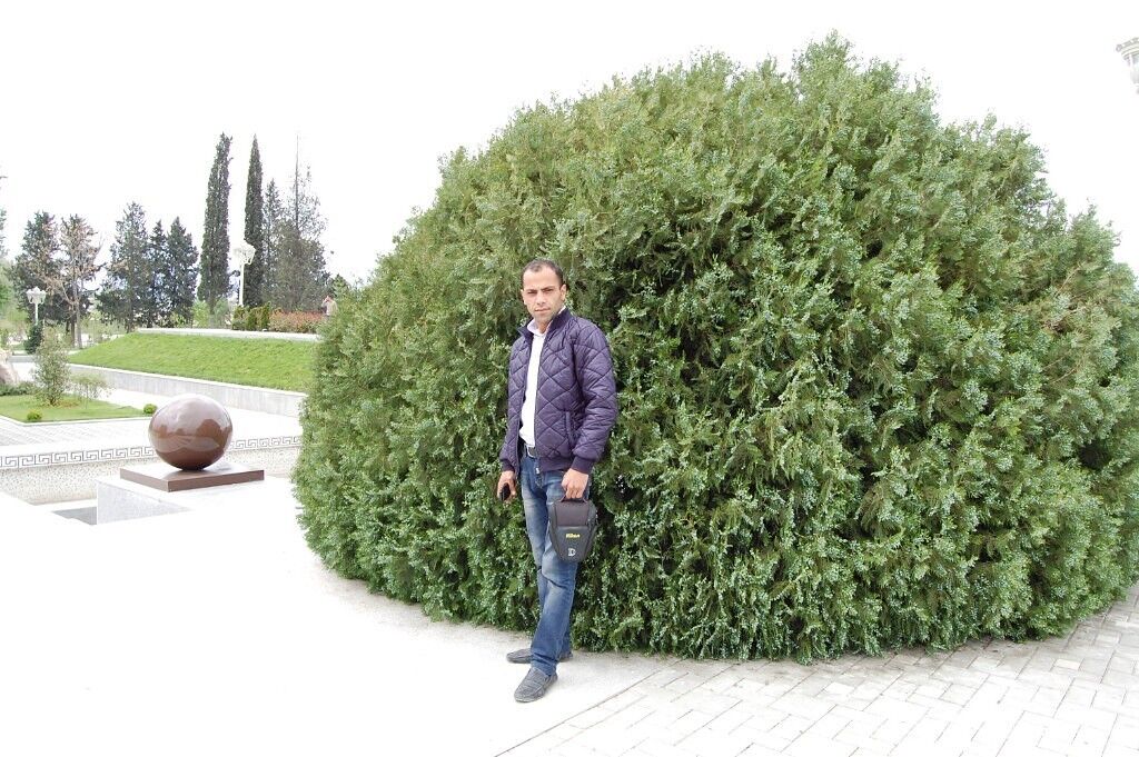  ,   Anar, 36 ,   