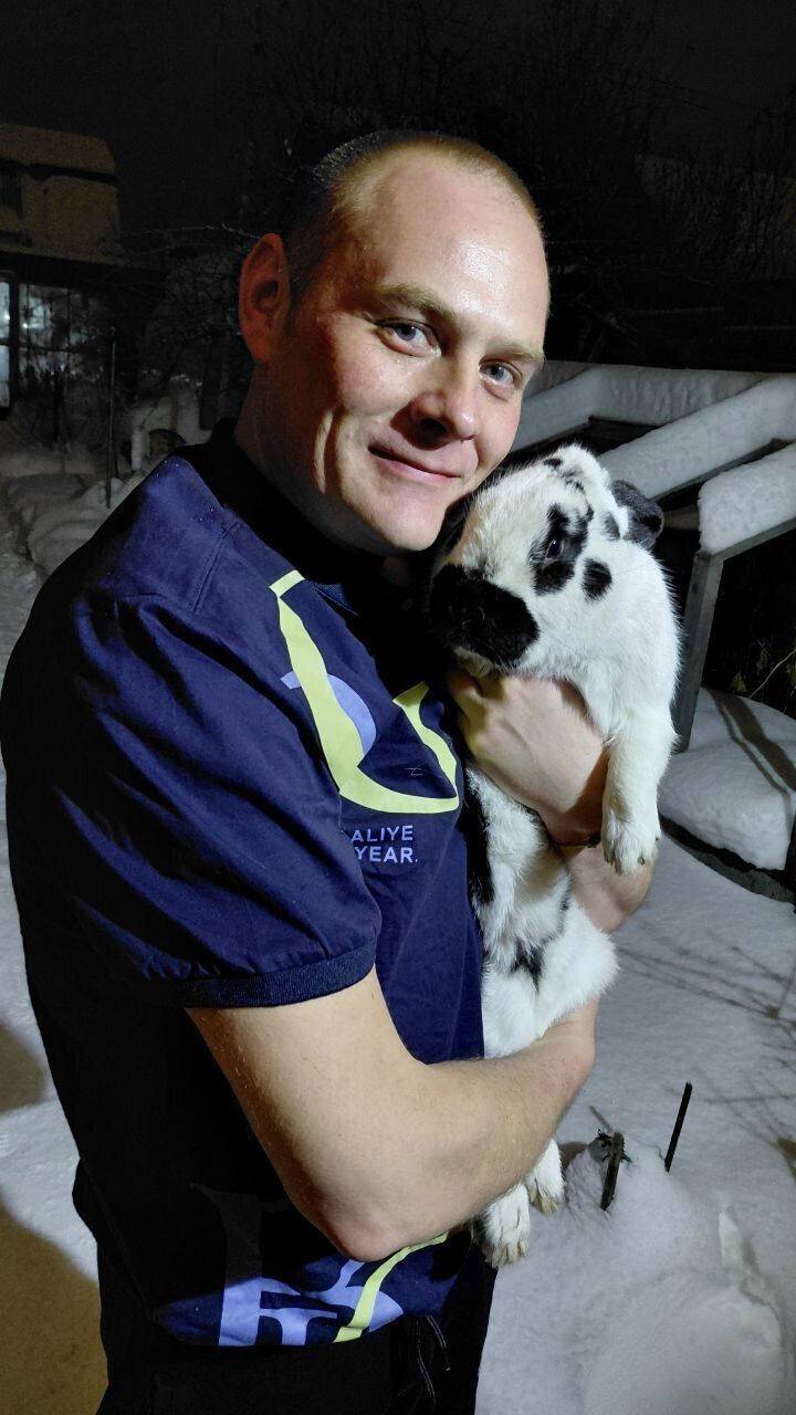 ���������� ������������, ���� ������� �������, 42 ����, ������������ ��� ������, ����� � ���������, c�������� ���������