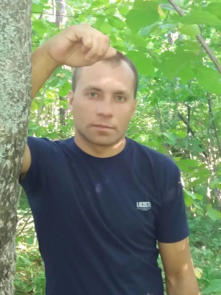 ���� 31385201 ������� �������, 39 ���, ���� ���������� � �����