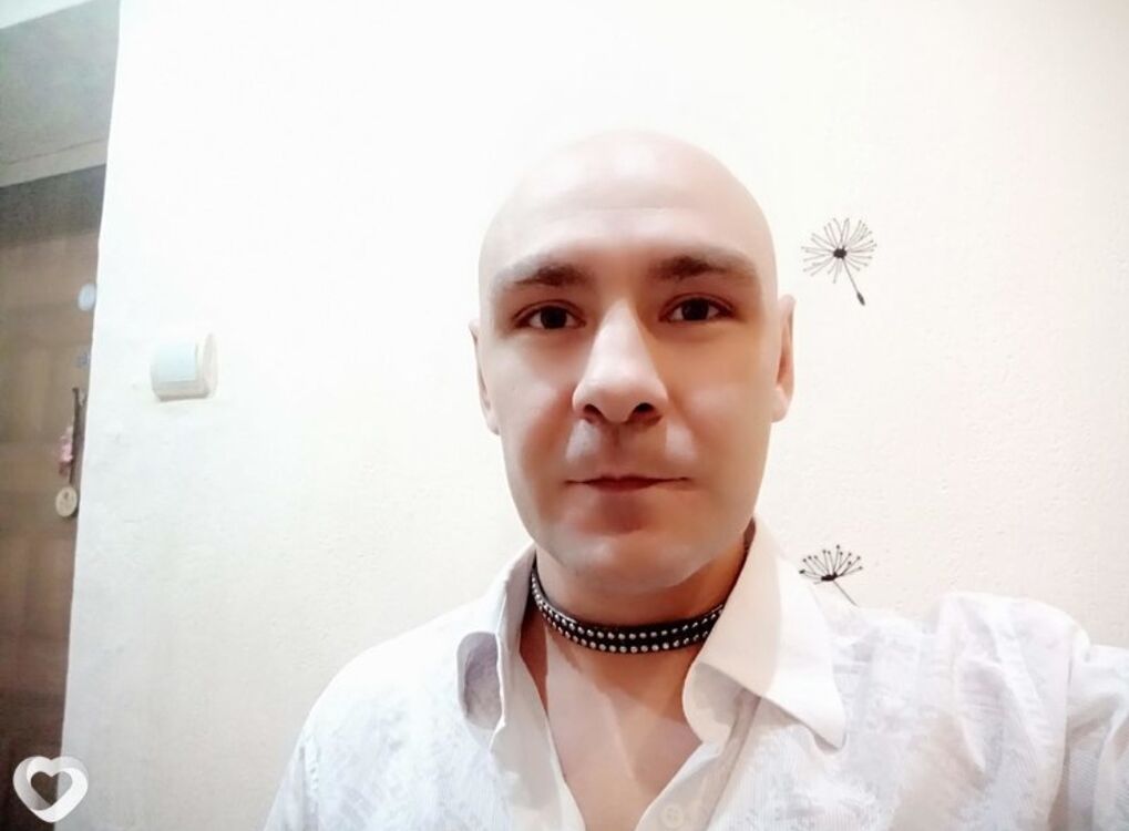  52469831  , 41 ,    