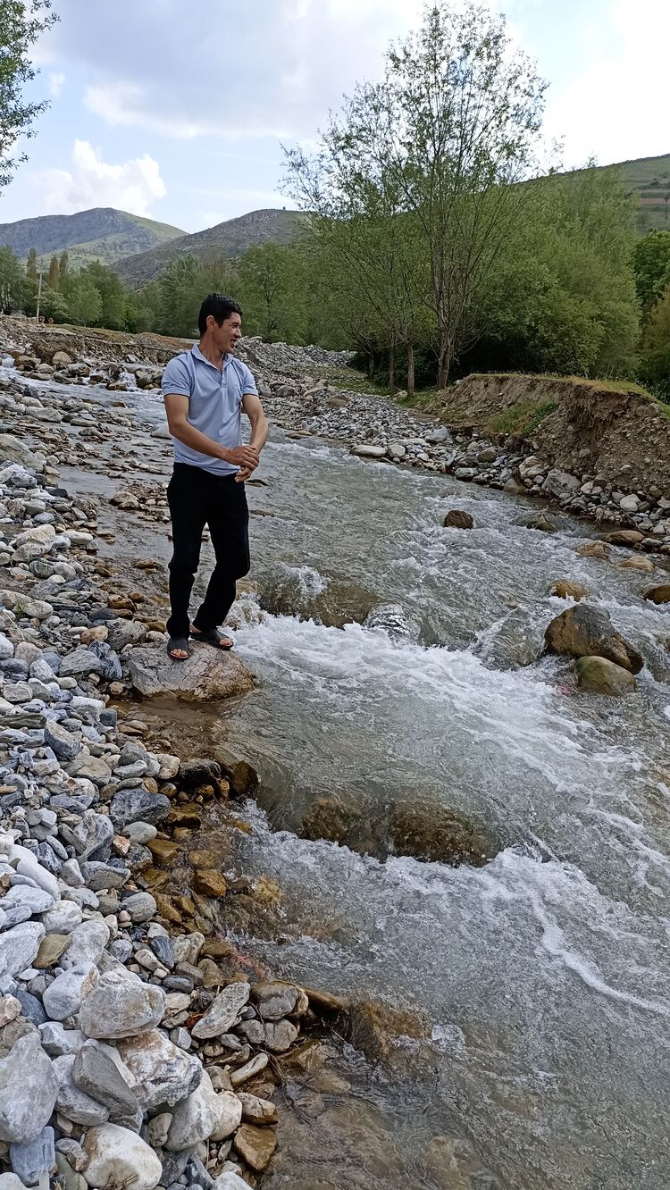 ���������� ����������, ���� ������� ���, 38 ���, ������������ ��� ������, ����� � ���������