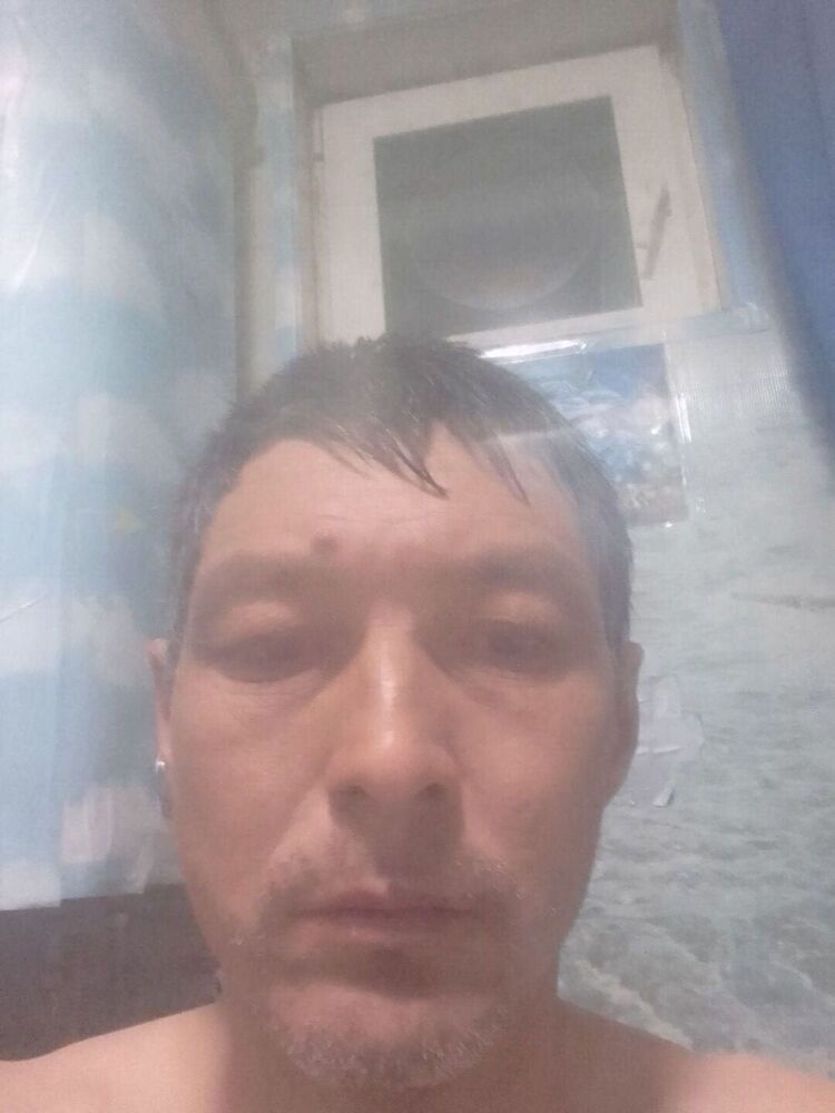  51790281  , 41 ,    -