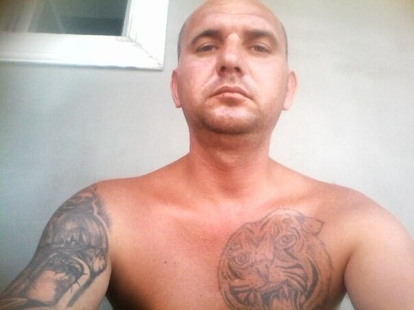 ���� 8862731 ������� ���� �, 43 ����, ���� ���������� � �������