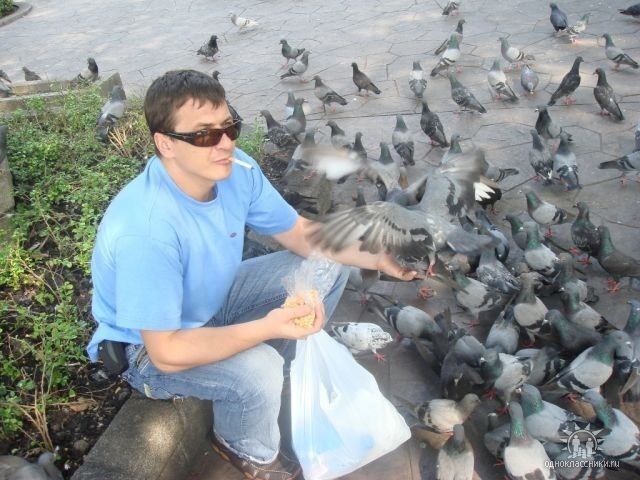 ���������� ������, ���� ������� ���������, 51 ���, ������������ 