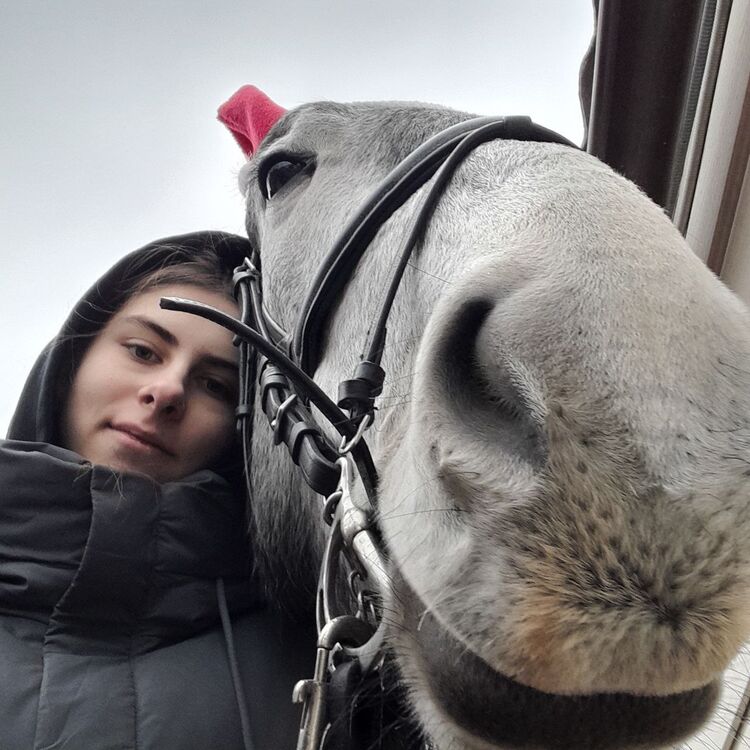 ���� 55212721 ������� �����, 19 ���, ���� ���������� � �������