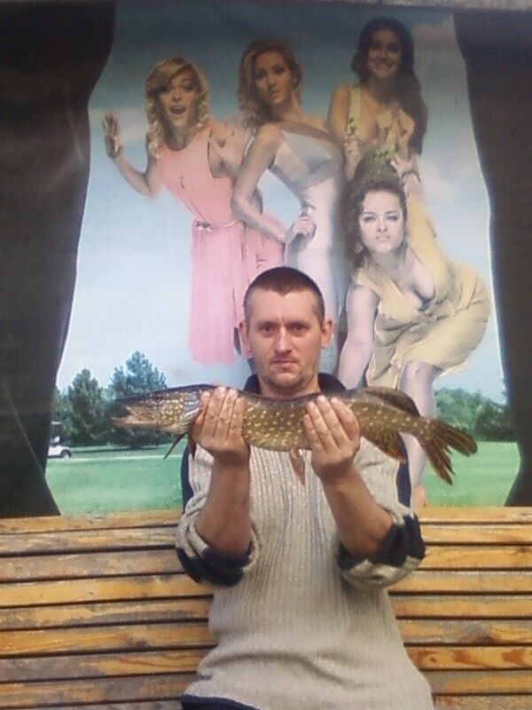 ���� 16331781 ������� ����, 44 ����, ���� ���������� � ������ ���������