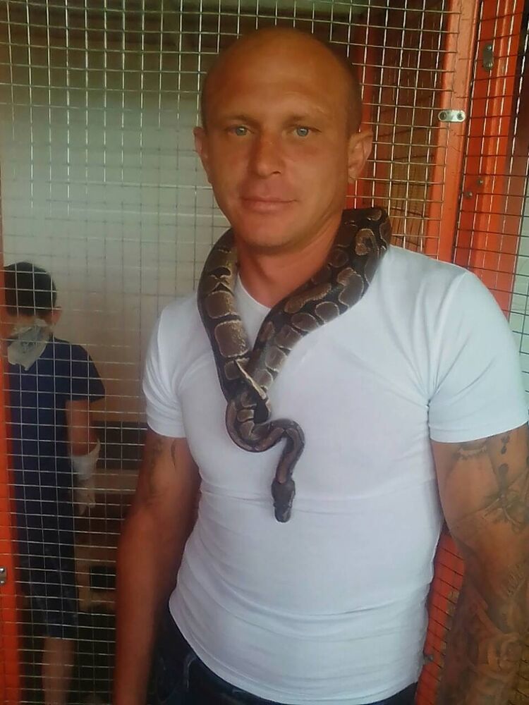  ,   , 41 ,   