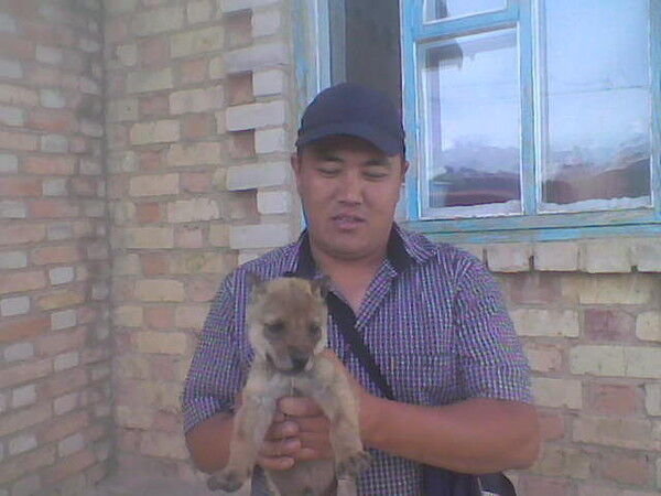  ,   Almaz, 45 ,   