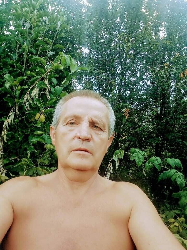  22291981  , 66 ,    