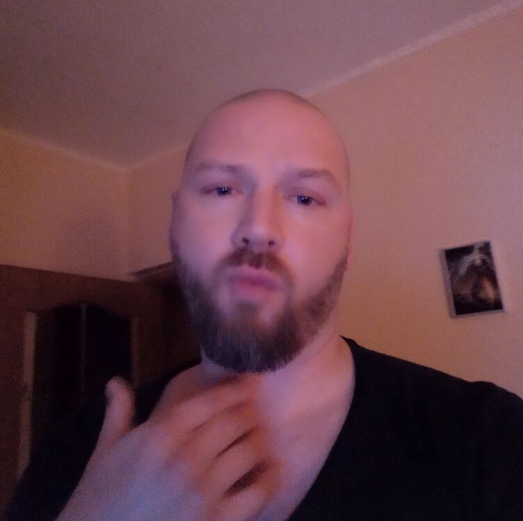  41313721  , 46 ,    