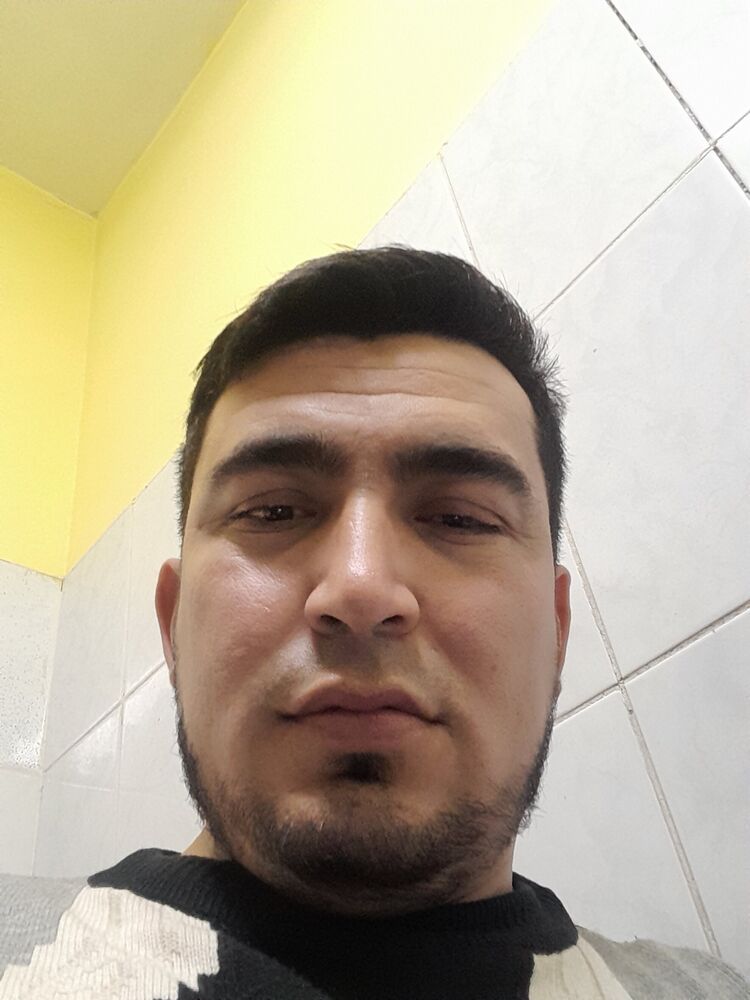  33064901  , 29 ,    