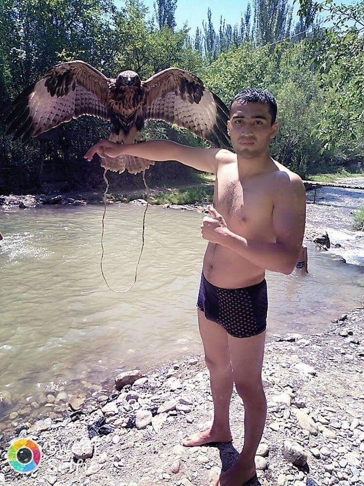  ,   Aristokrat, 32 ,   ,   , c 