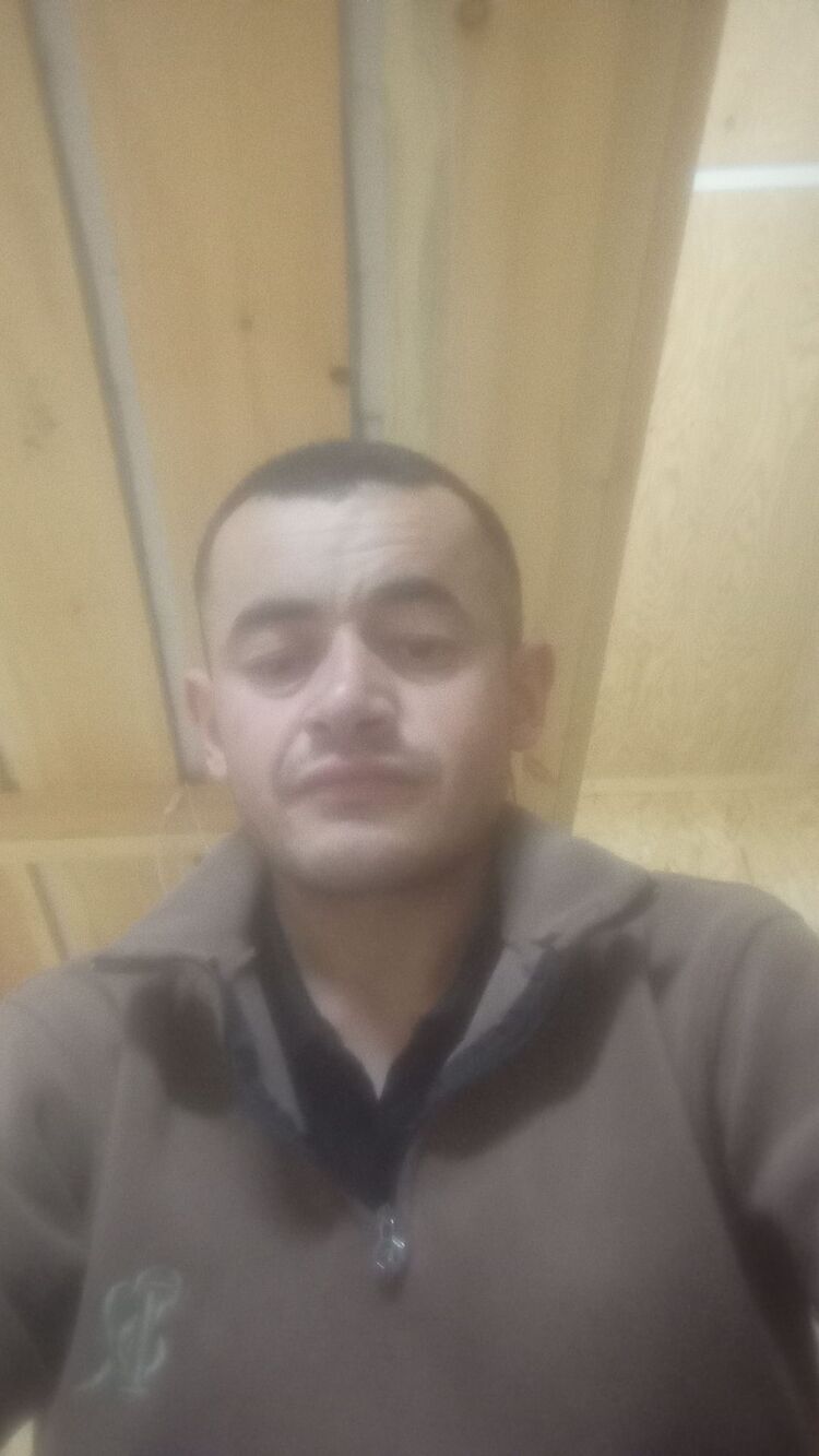  50230041  , 32 ,    