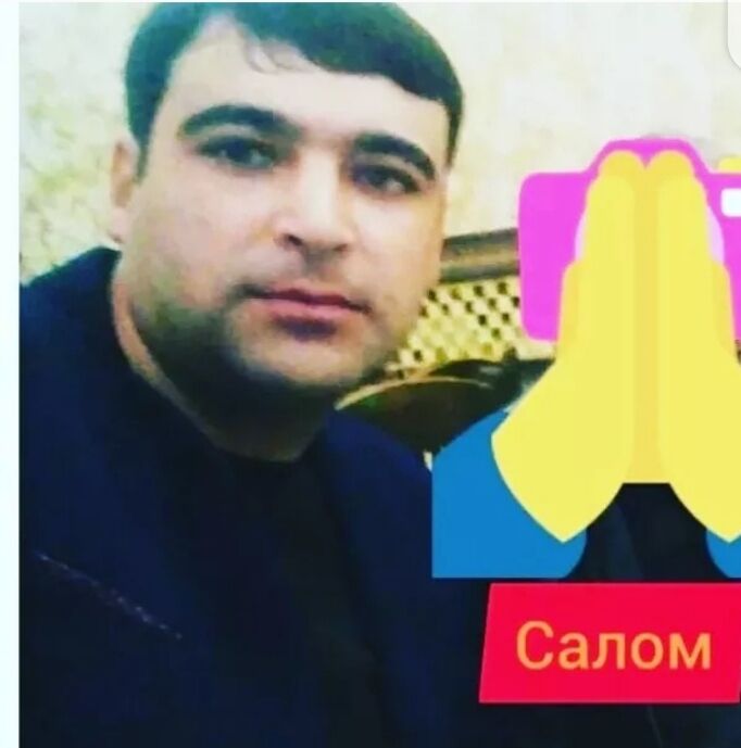  31452841  , 38 ,    