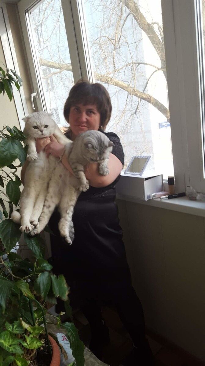 ���� 19514091 ������� �����, 58 ���, ���� ���������� � ������