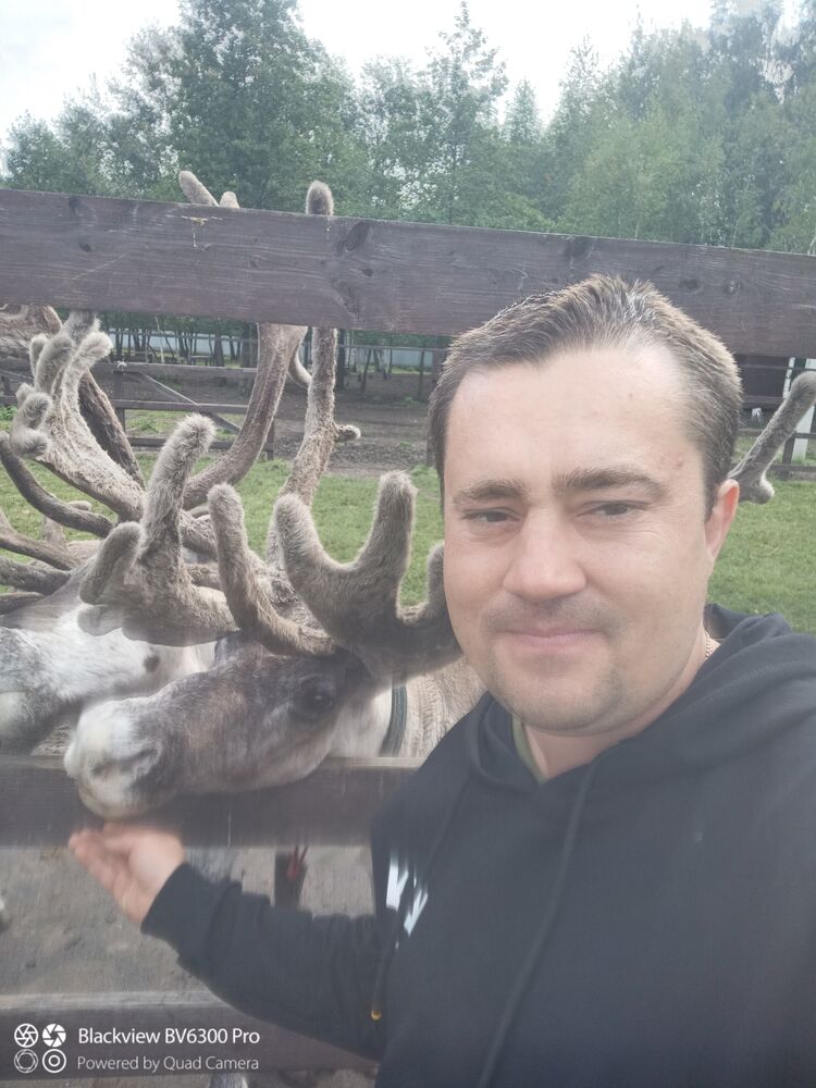 ���� 25595651 ������� �������, 43 ����, ���� ���������� � ������