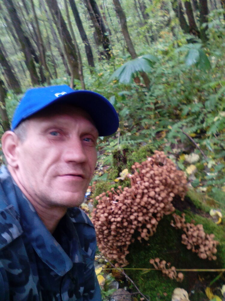  ,   , 46 ,     , c , 
