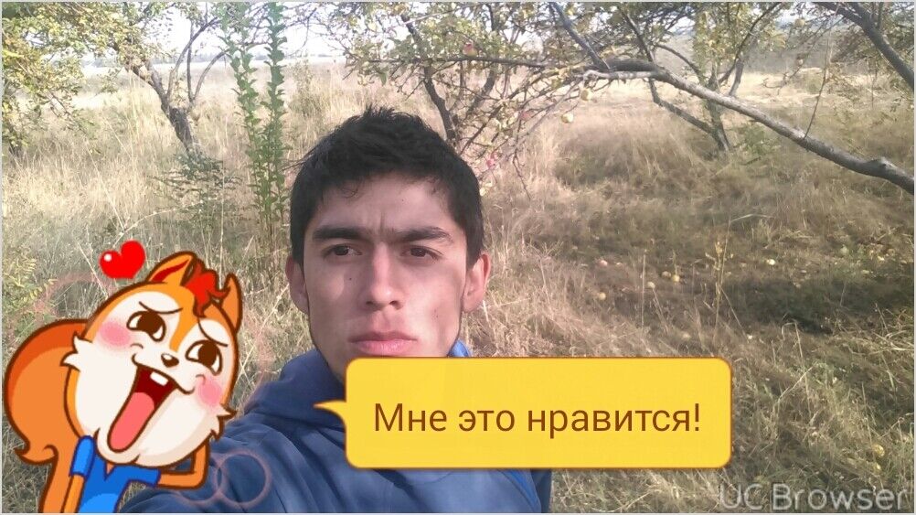 ���� 8853281 ������� ��� ���, 33 ����, ���� ���������� � ��������