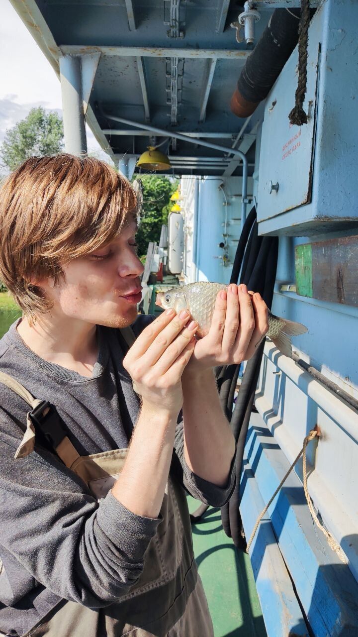 ���� 42437191 ����� �����, 24 ����, ���� ���������� � ������