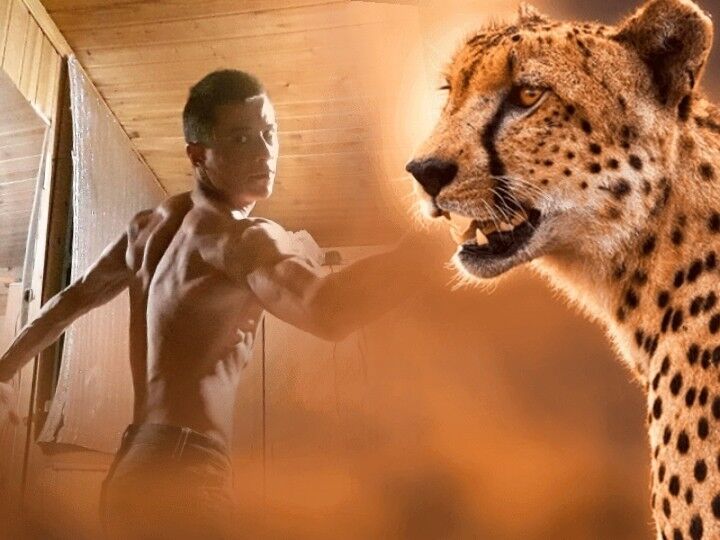 ���� 16255211 ������� �����, 33 ����, ���� ���������� � ������