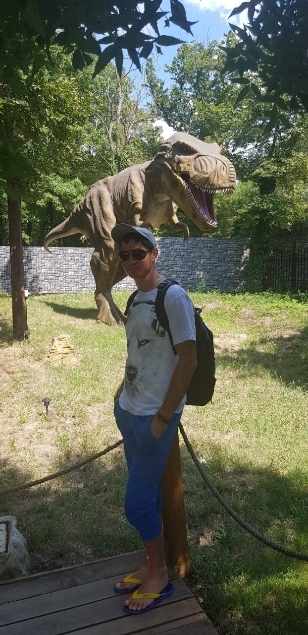  27645281  , 29 ,    --