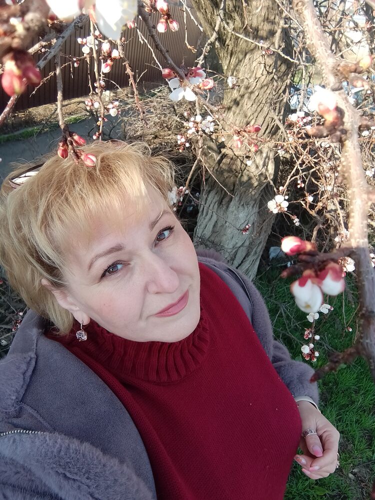 ���� 55985781 ������� ������, 50 ���, ���� ���������� � ���������