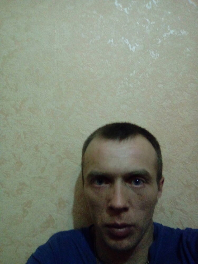  11506561  , 41 ,    