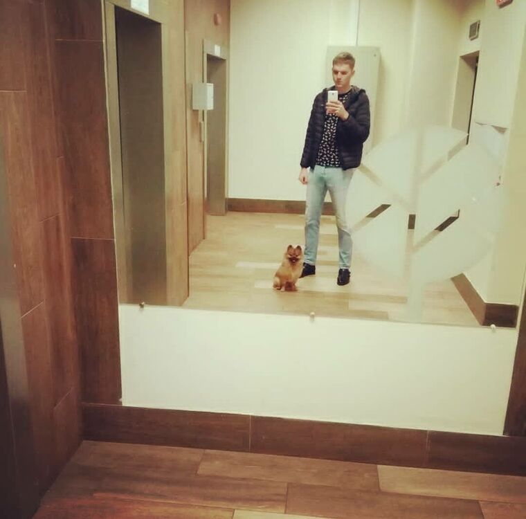 ���� 22452731 ������� �������, 28 ���, ���� ���������� � �����-����������