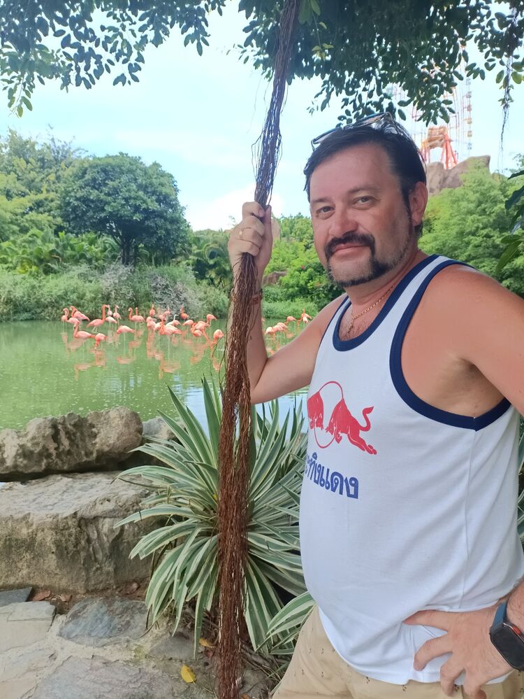 ���� 55950541 ������� �������, 47 ���, ���� ���������� � ������