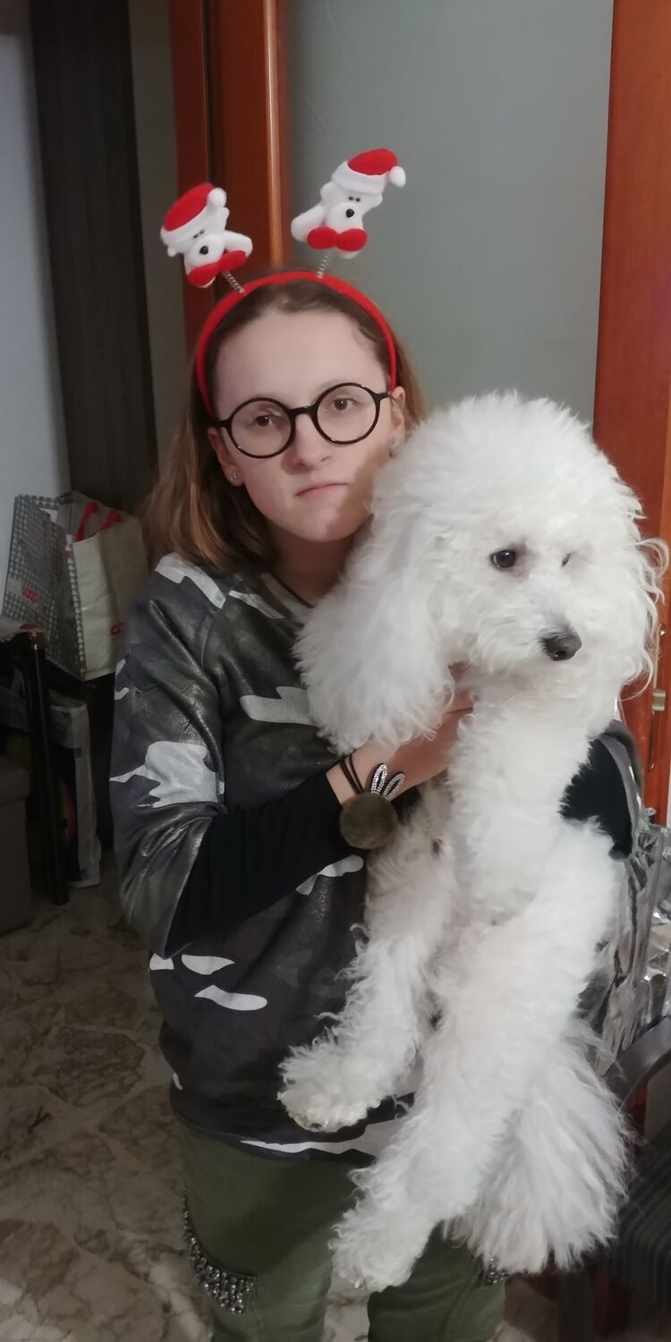 ���������� �����, ���� ������� ���, 27 ���, ������������ ��� ������, ����� � ���������