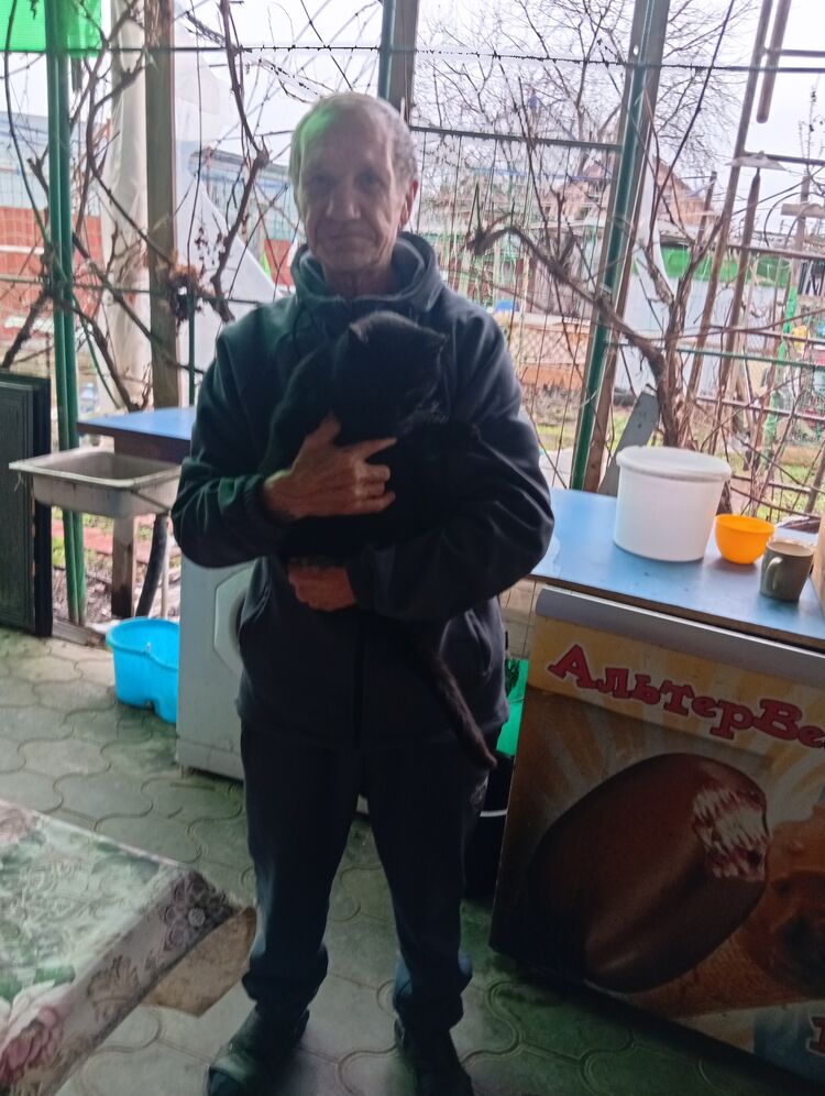 ���� 56186211 ������� �����, 62 ����, ���� ���������� � ����������