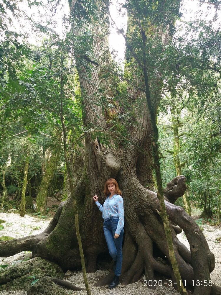 ���������� ������ ��������, ���� ������� �������, 50 ���, ������������ ��� ����� � ���������, c�������� ���������