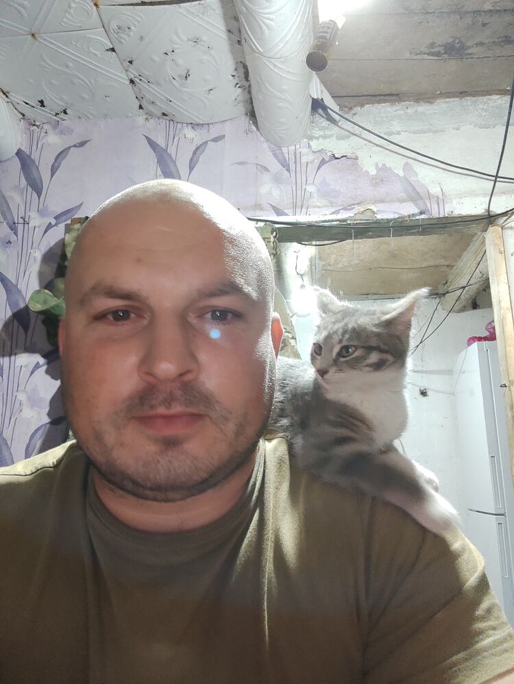 ���������� ����������, ���� ������� ���������, 38 ���, ������������ ��� ������, ����� � ���������