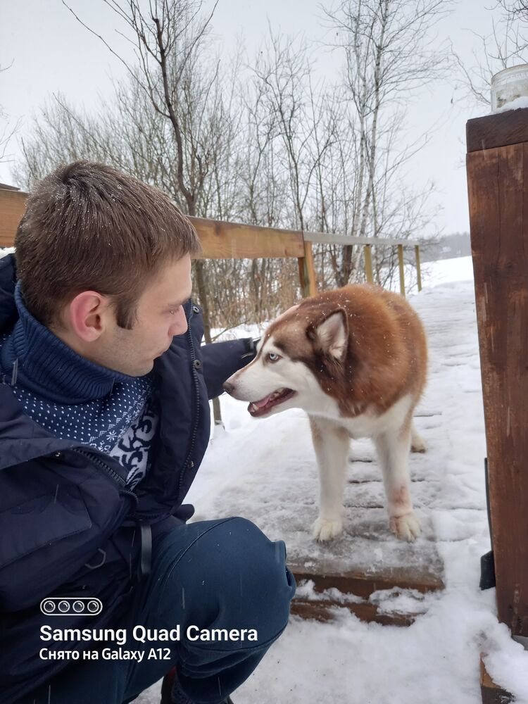 ���� 54714861 ������� ������, 37 ���, ���� ���������� � ������� �����