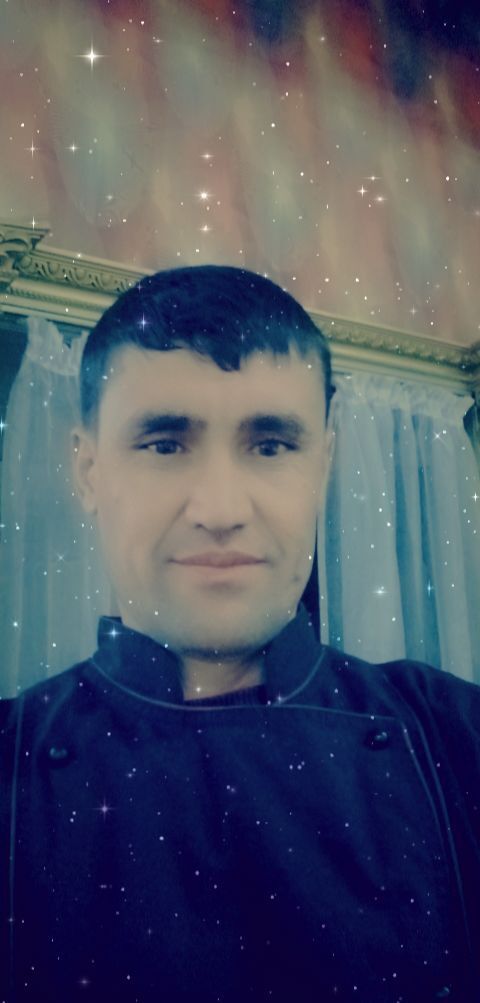  33456731  , 40 ,    