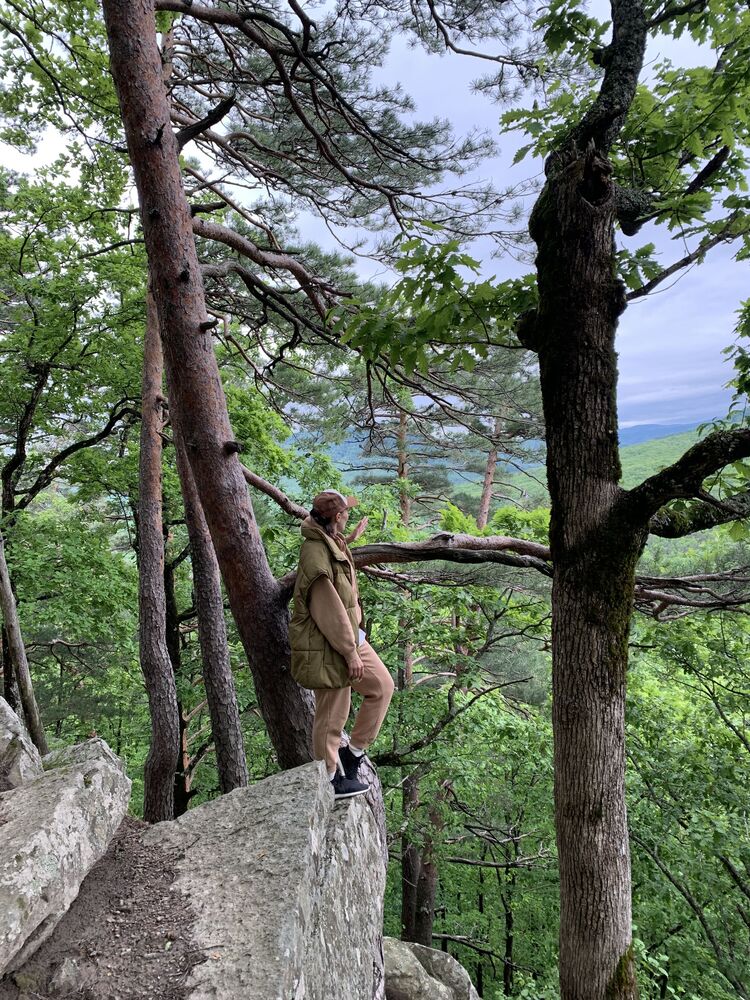 ���������� ���������, ���� ������� ��������, 38 ���, ������������ ��� ����� � ���������, c�������� ���������