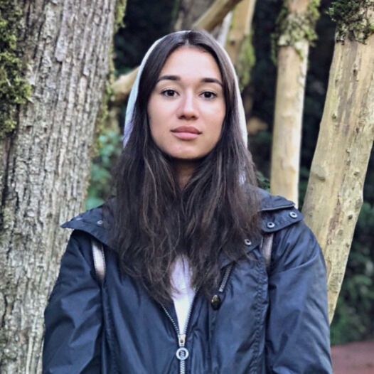 ���� 54850671 ������� ������, 26 ���, ���� ���������� � ����-����������