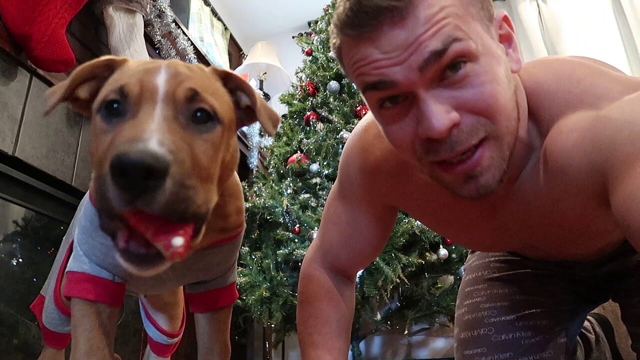 ���� 23295831 ������� �������, 37 ���, ���� ���������� � ������