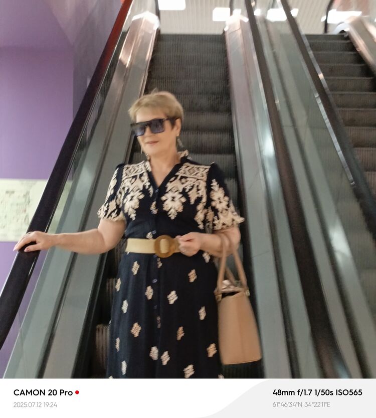  54558281  , 56 ,    -