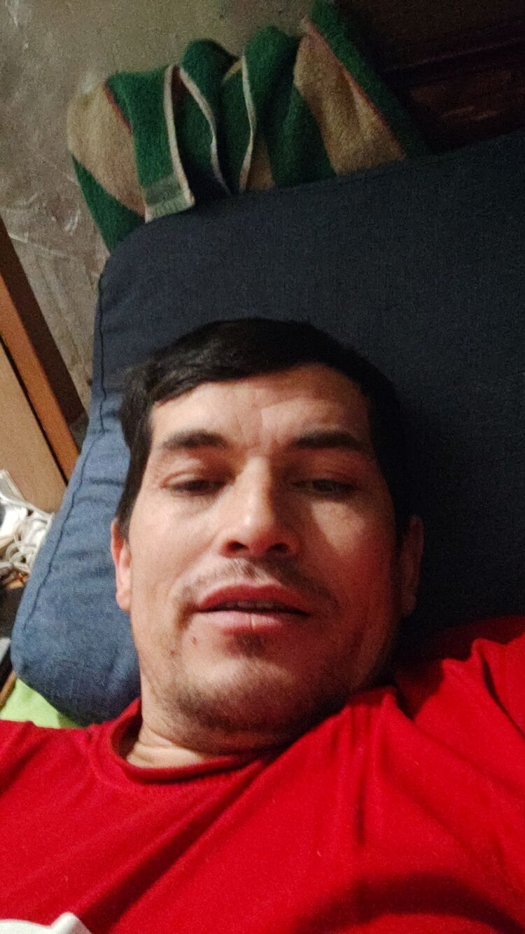  33341861  , 40 ,    -